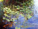 Scott Hefti - "Lily Pads at Water's Edge"