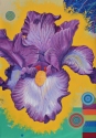 Scott McIntire - Iris Energy Field