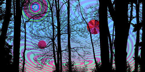 Becket%20Morning (thumbnail)
