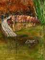 "Gator Watch" %22Gator%20Watch%22 (thumbnail)