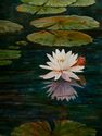 "Eagle Pond" %22Eagle%20Pond%22 (thumbnail)