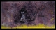 Painting--Oil-FigurativeDeep Purple
