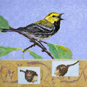 Painting--Acrylic-WildlifeOf The Waking Morn