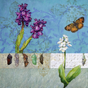 Painting--Acrylic-BotanicalJoyful Echoes Murmur