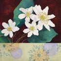 Painting--Acrylic-FloralPast the Stars