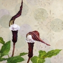 Painting--Acrylic-FloralPreaching to the Choir
