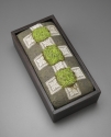 Fiber Art--Embroidery-BotanicalBox Garden 