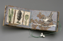 Book Arts-Collection: Nest Building