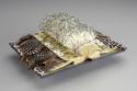 Book Arts-Sprouting Hope