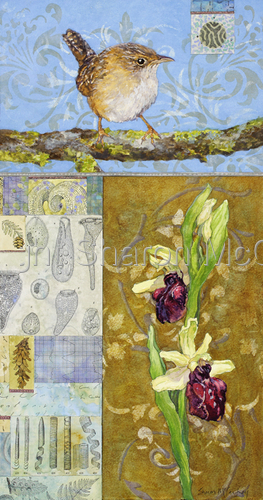 Painting-Animals-May Hope to Rise