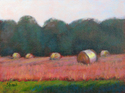 Rolls%20Of%20Hay (thumbnail)