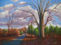 Peace%20Valley%20Tree (thumbnail)