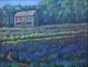Lavender%20Farm (thumbnail)
