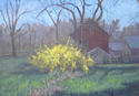 Forsythia (thumbnail)
