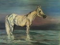 Horse%20on%20a%20lake (thumbnail)