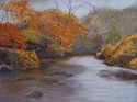 SHEILA SUGERMAN,NEW JERSEY,PLEIN AIR PAINTING,PASTEL,BROOK,
TREES,AUTUMN LEAVES,WOODS - Plein Air Painting