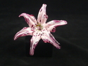 Open Petal Paperweight - Pink and Red