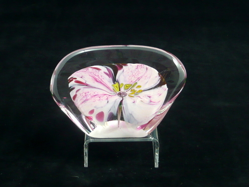 Wildflower Paperweight 9