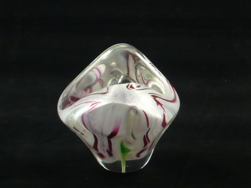 Wildflower Paperweight 8