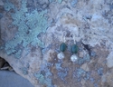 Jewelry--Semi-Precious Stones-Earringsearrings