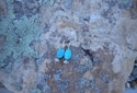 Jewelry--Semi-Precious Stones-Earringsearrings