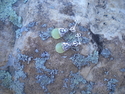 Jewelry--Semi-Precious Stones-Earringsearrings