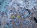 Jewelry-earrings