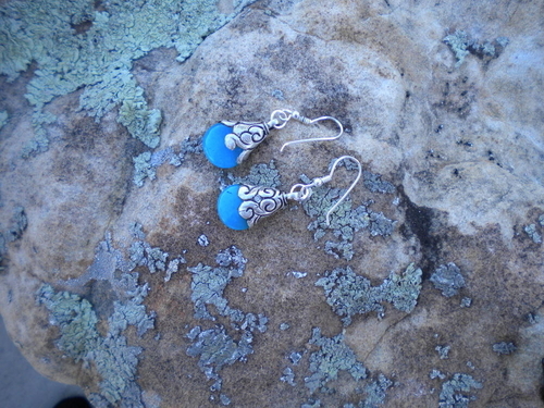 Jewelry-earrings