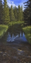 Shon Anderson - Mountain Stream