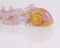 Jewelry--Beads-NecklacesPink Ogalala Necklace