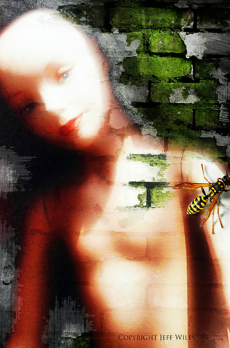 Photography-Bee-armed.
