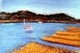 Painting-Cape Cod Marsh