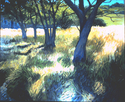 Monhegan%20wood (thumbnail)