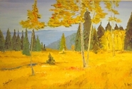 sidhartha pani - Fall in the Rockies