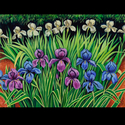 Iris Garden