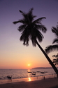 Sunset , Krabi Thailand / pic156887