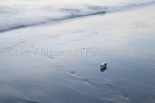 Photography-A can on the sunset beach ,Krabi Thailand/ pic156929