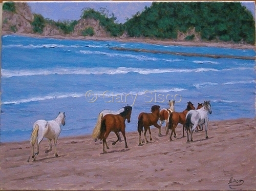 Horses on the Beach in Costa Rica