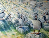 Atlantic%20puffins (thumbnail)