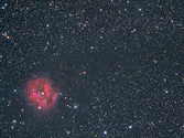 Cocoon%20Nebula (thumbnail)
