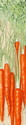 Steven Morris - Still Life Painting Watercolor,Steve Morris,still life,nature,vegetables,carrots - Still Life Painting