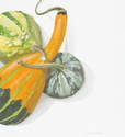 Gourds%20%231 (thumbnail)