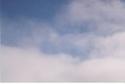 Sheree Kaslikowski - Nature Photography color photograph - Nature Photography