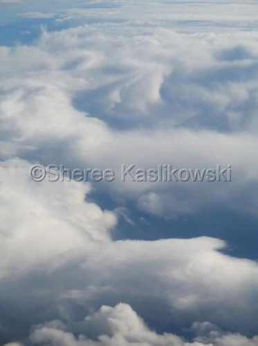 Photography-Nature-