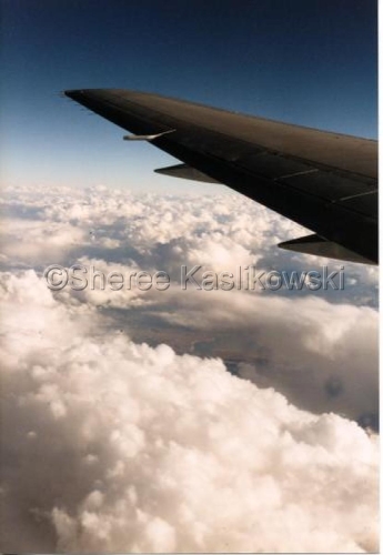 Photography-Nature-