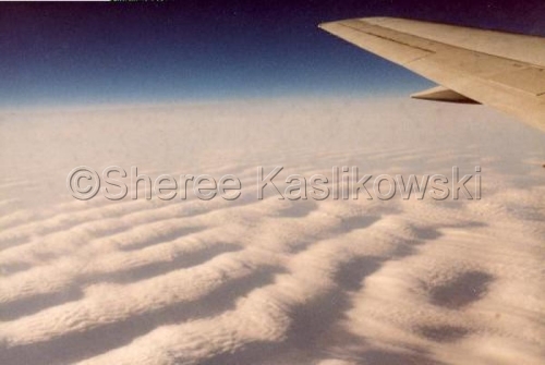 Photography-