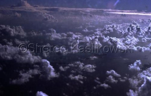 Photography-Nature-