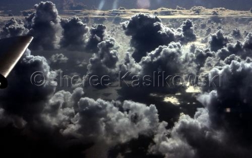 Photography-Nature-
