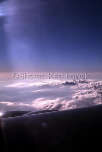 Photography-Nature-