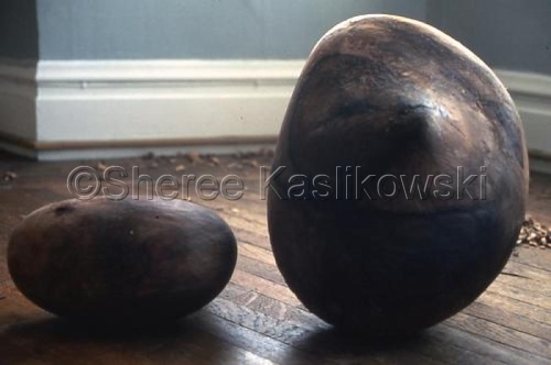 Sculpture-Eclipse